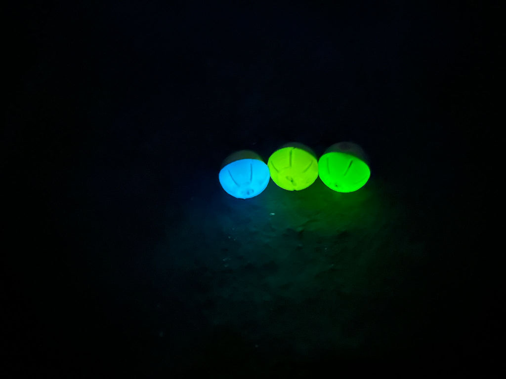 Visibel Night Glow Bait Caps