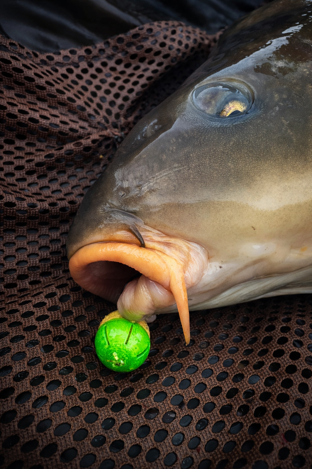 Visibel Night Glow Bait Caps